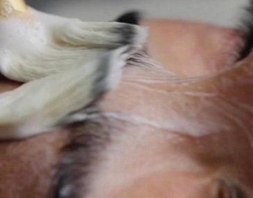 Омолаживающие процедуры