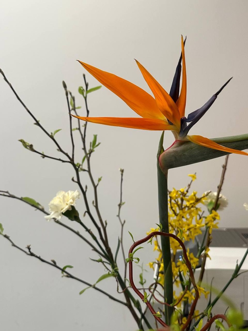 Оставьте контакты, и мы с вами свяжемся